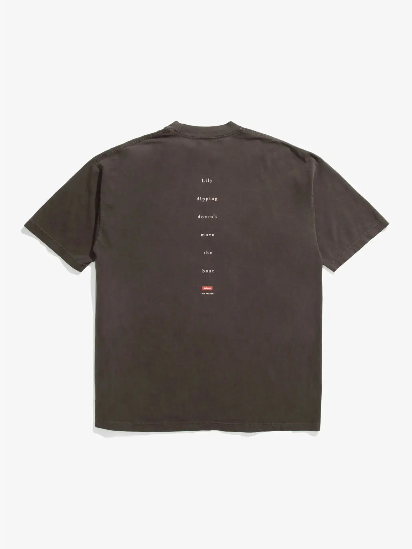 LILY TEE BROWN Футболка коричневый