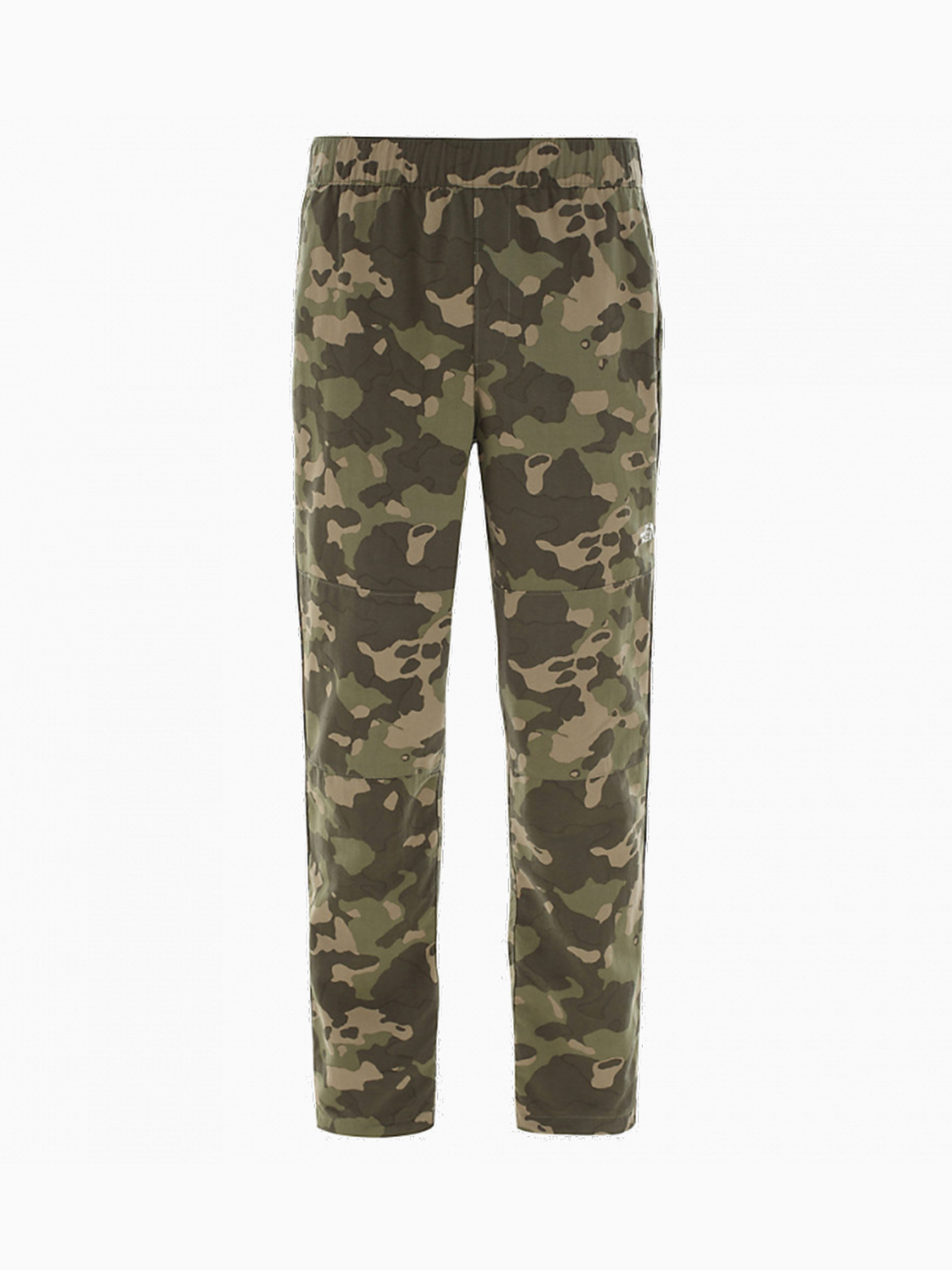 

Брюки The North Face Class V