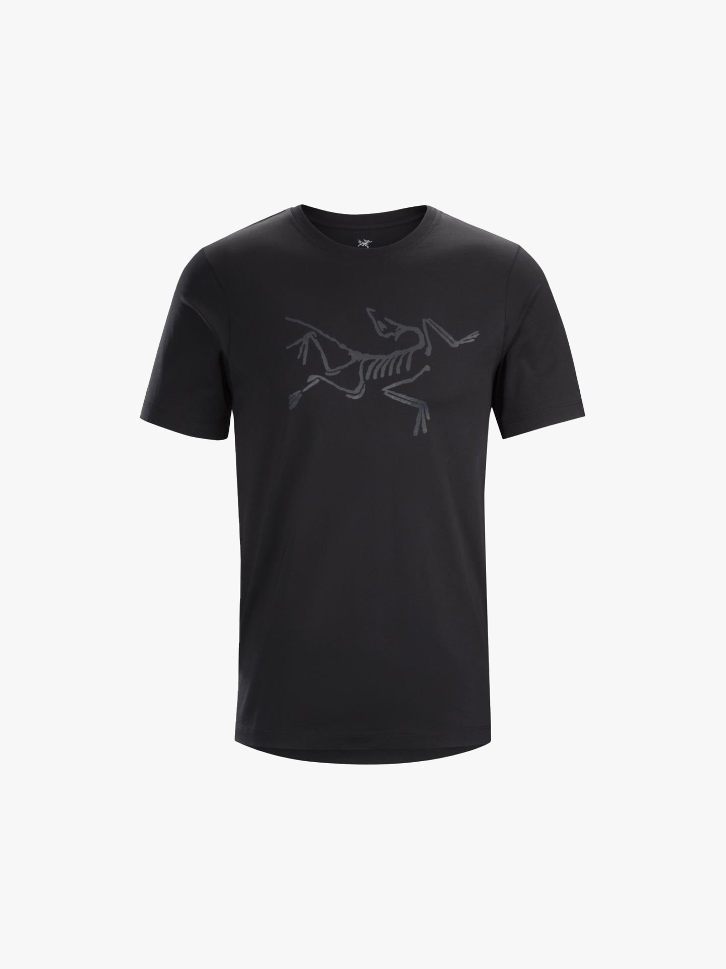 

Футболка Arcteryx Archaeopteryx Black, Черный