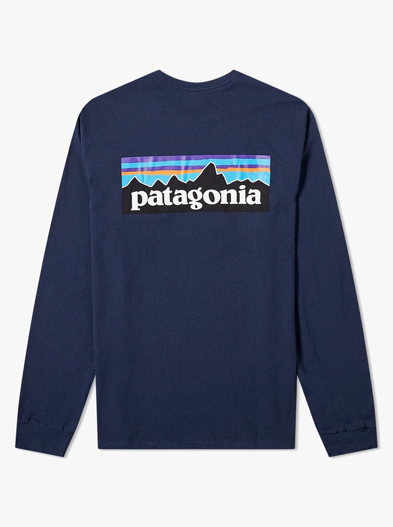 womens patagonia snap t pullover